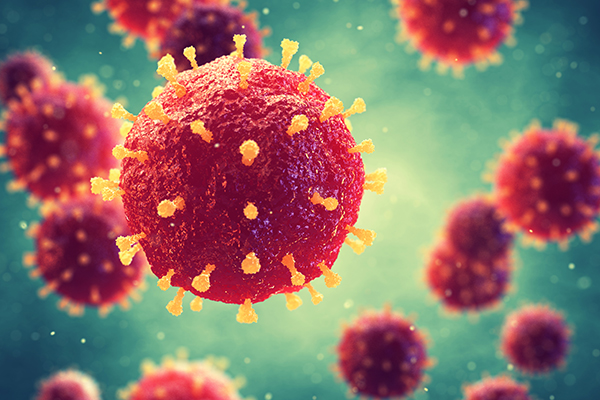 What Is the Difference Between a Bacterial Infection and a Virus?