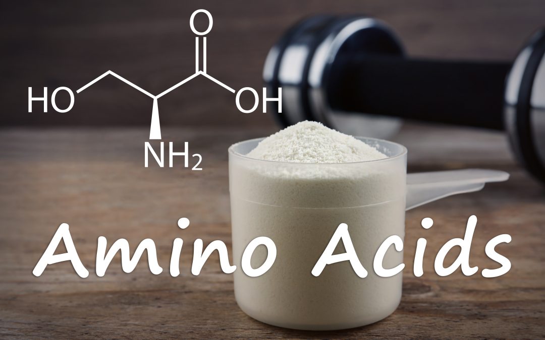 What Are Amino Acids?